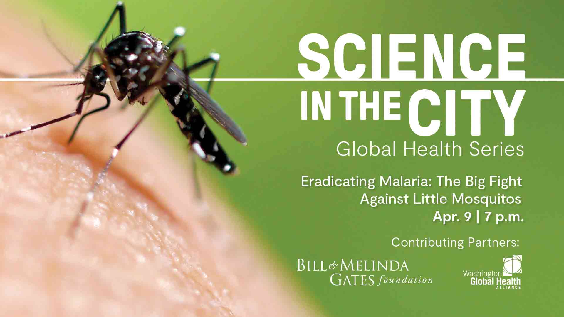 Eradicating Malaria – The Big Fight Against Little Mosquitos Eradicating Malaria - The Big Fight Against Little Mosquitos