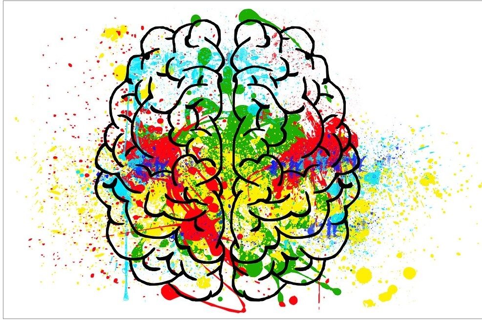 Painted brain