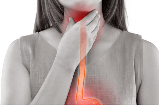 throat esophagus