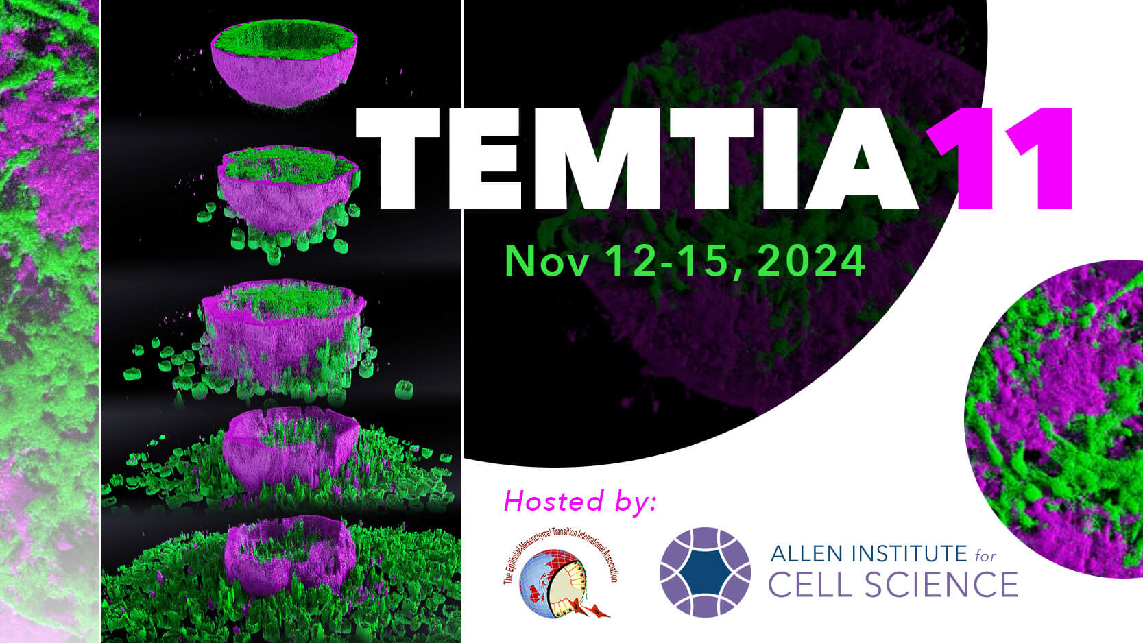 TEMTIA website banner. Hoster by Allen institute for cell science and the epithelia-mesenchymal transition international association