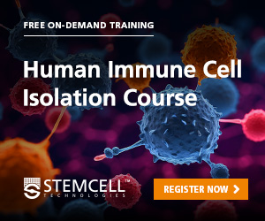 Brightly colored B cells with text describing a free on-demand course about human immune cell isolation.