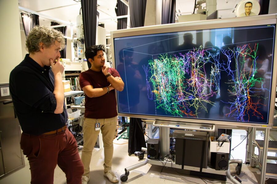 Electron Microscopy Team looking at image