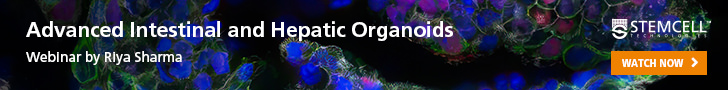 Advancing Organoid Models: Introducing New Capabilities for Intestinal and Hepatic Research” webinar presented by Riya Sharma at ISSCR 2025.