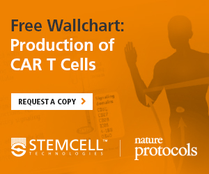 Free Wallchart: Production of CAR T Cells Request a copy