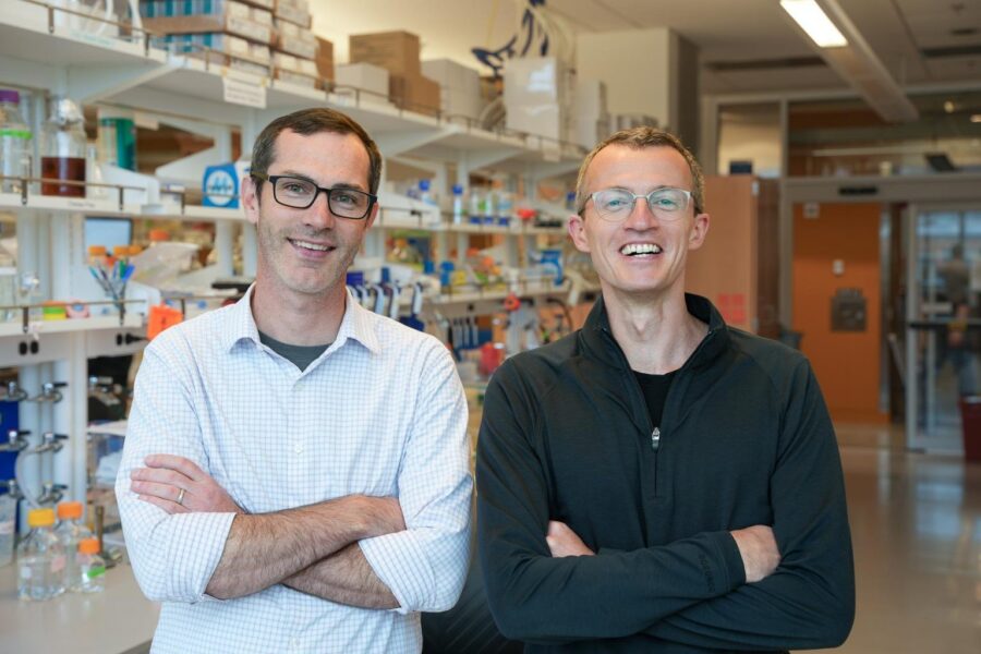 Neil King and David Veesler