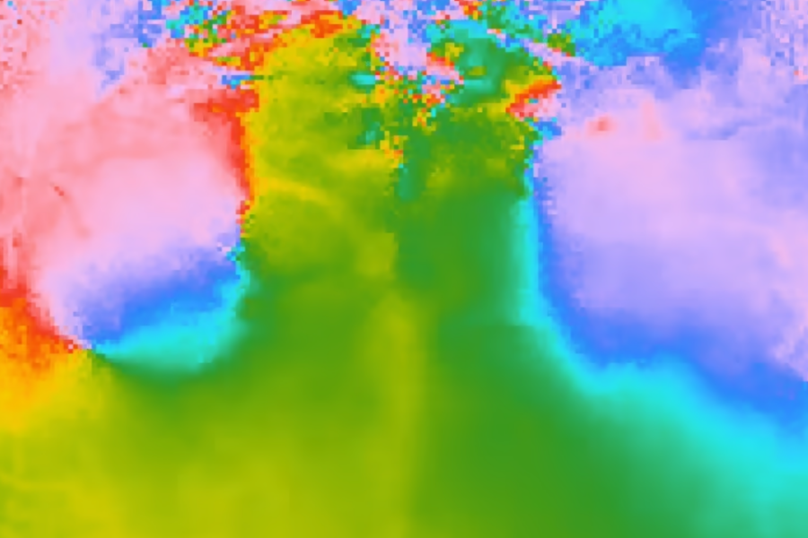 neural activity in a mouse brain