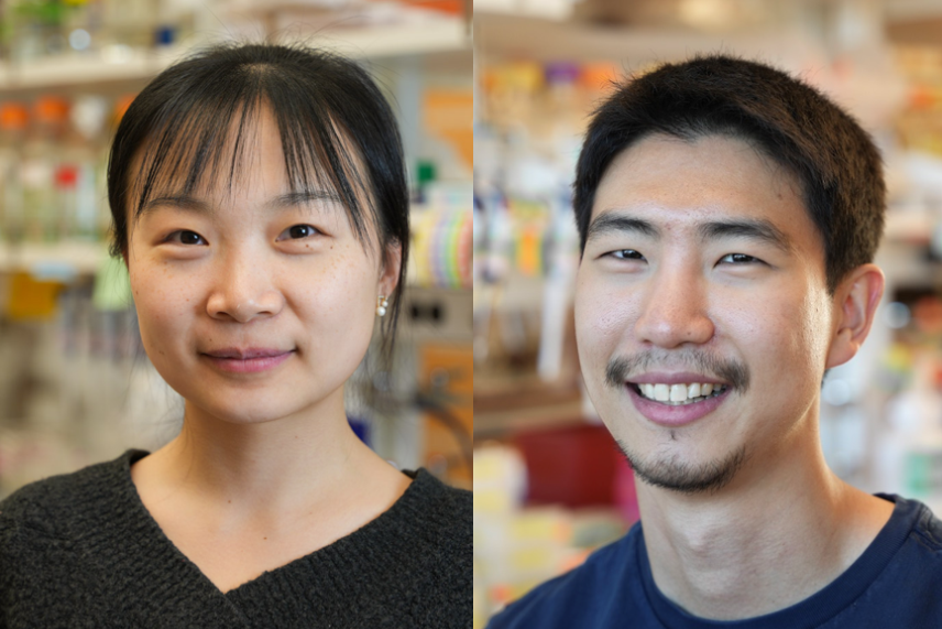 Anqi Chen, left, and Hojae Choi